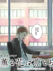 日本综艺二手书店漫游在线观看